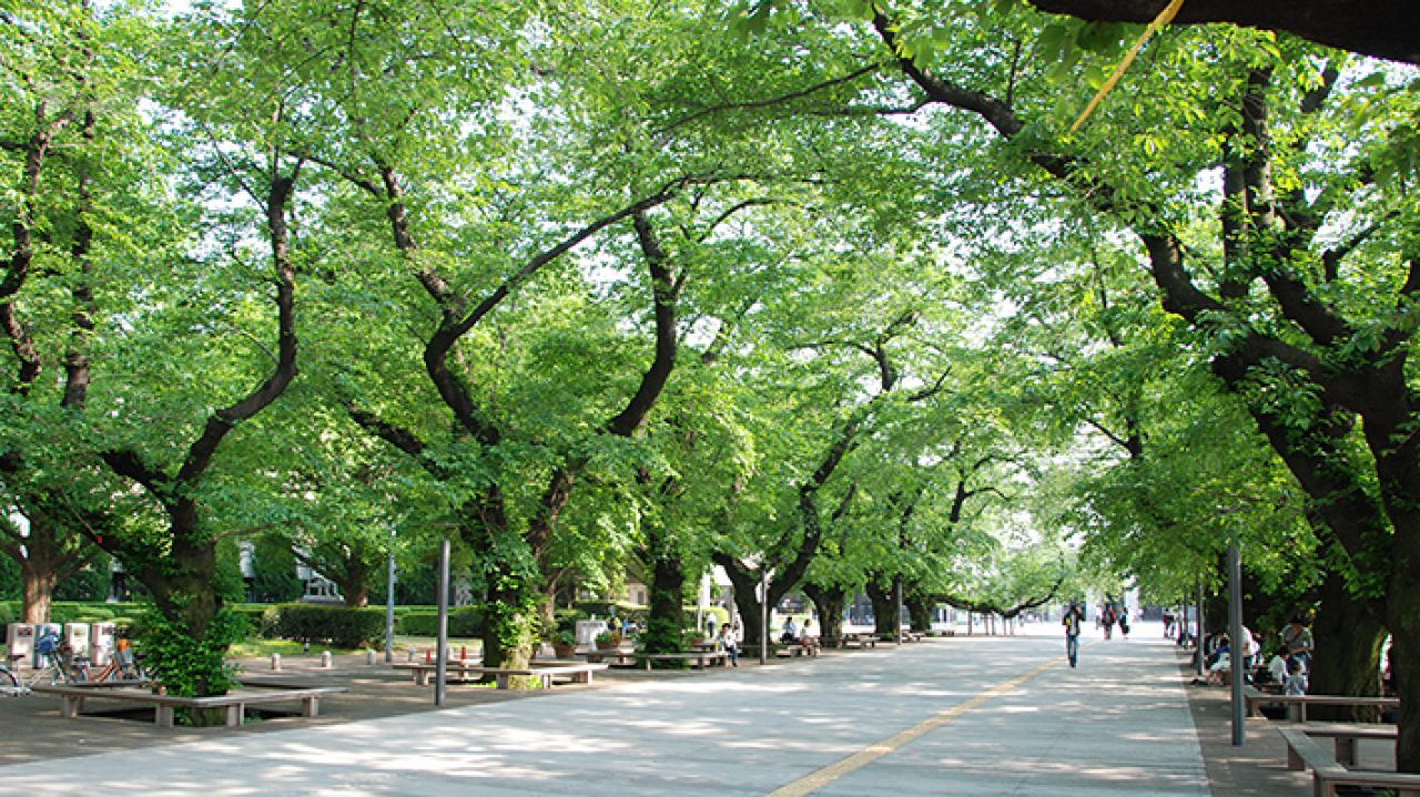 cropped-No2_img_campus_invitation_ookayama_CAMPUS_WALK